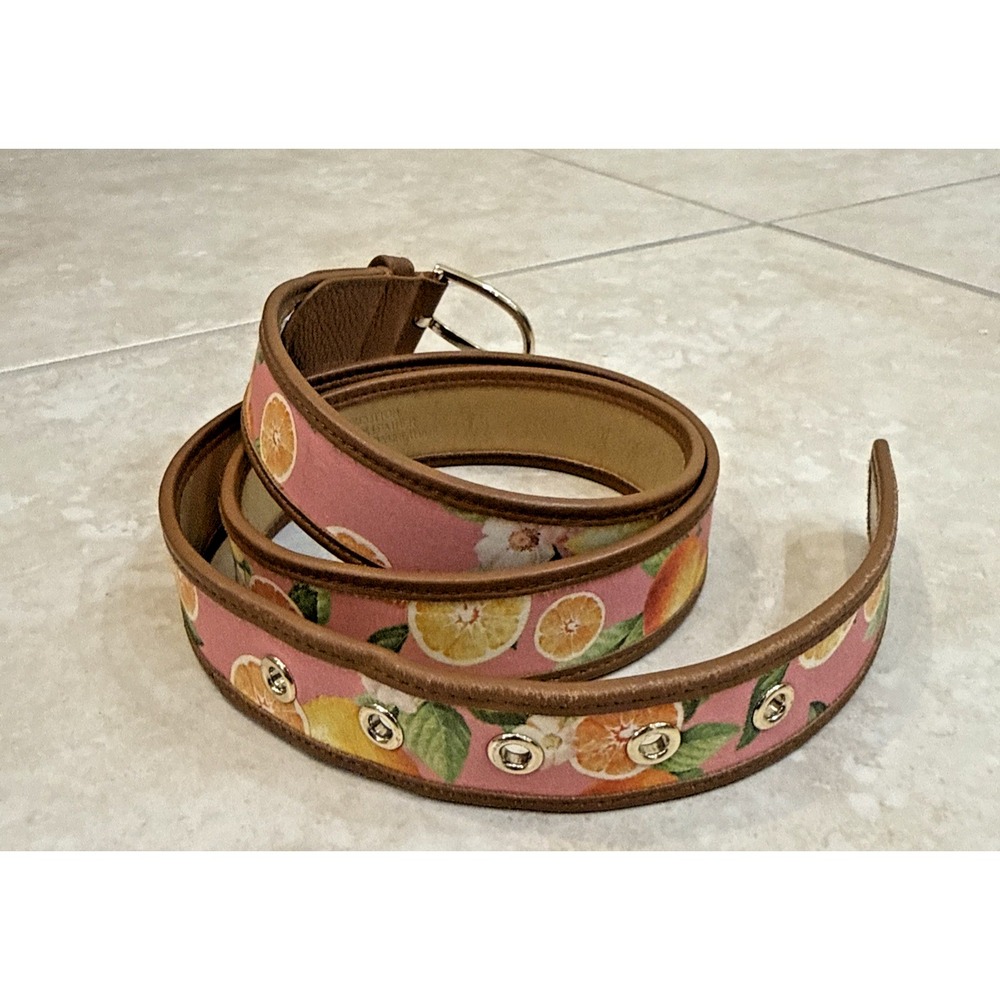 Talbots Pink Belt Orange Fruit Print Leather Trim Gold Tone Buckle Sz L Preppy